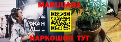 гашик Можга