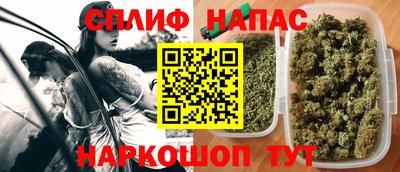 гашик Можга