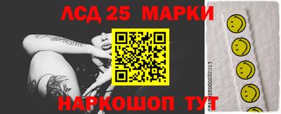 гидра Моздок