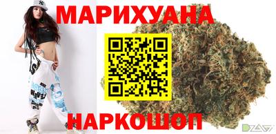 гашик Можга