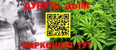 гашик Можга