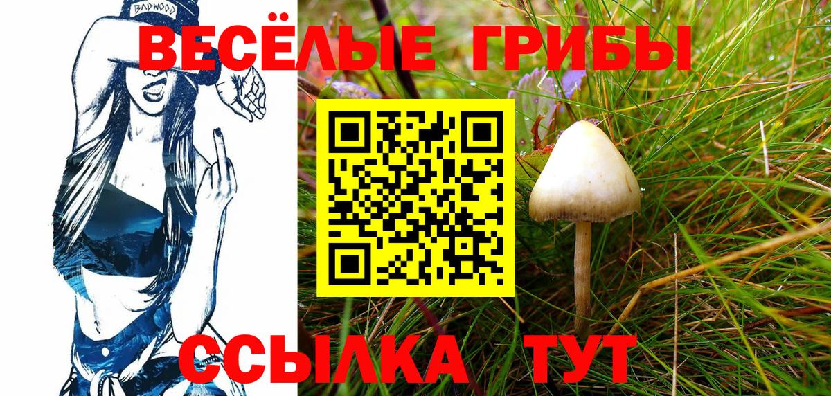 Галлюциногенные грибы GOLDEN TEACHER Усинск